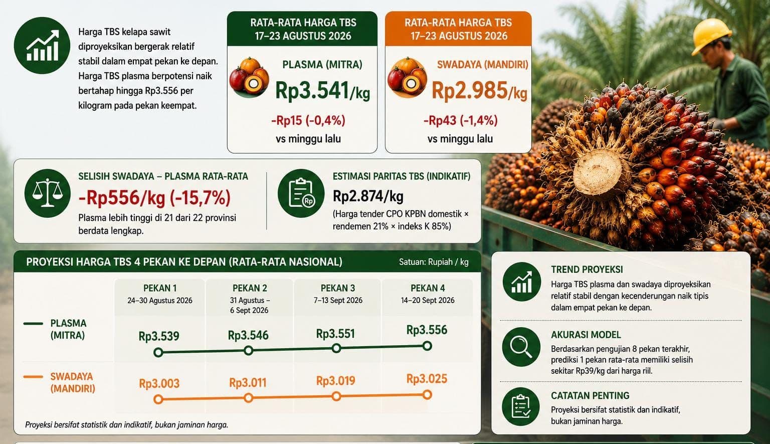 Harga TBS Diproyeksi Stabil Empat Pekan, Plasma Berpotensi Naik ke Rp3.556/Kg