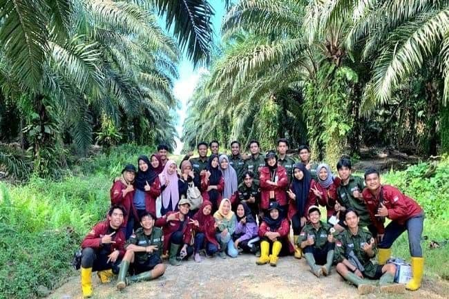Beasiswa Sawit Didorong Naik Empat Kali Lipat, Target 20.000 Mahasiswa