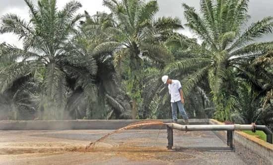 POME Tak Lagi Sekadar Limbah, Bisa Jadi Sumber Energi dan Nilai Tambah Industri Sawit