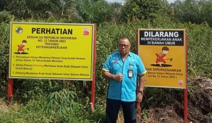 Kelembagaan Petani Sawit Swadaya Dinilai Jadi Fondasi Ekonomi Kerakyatan