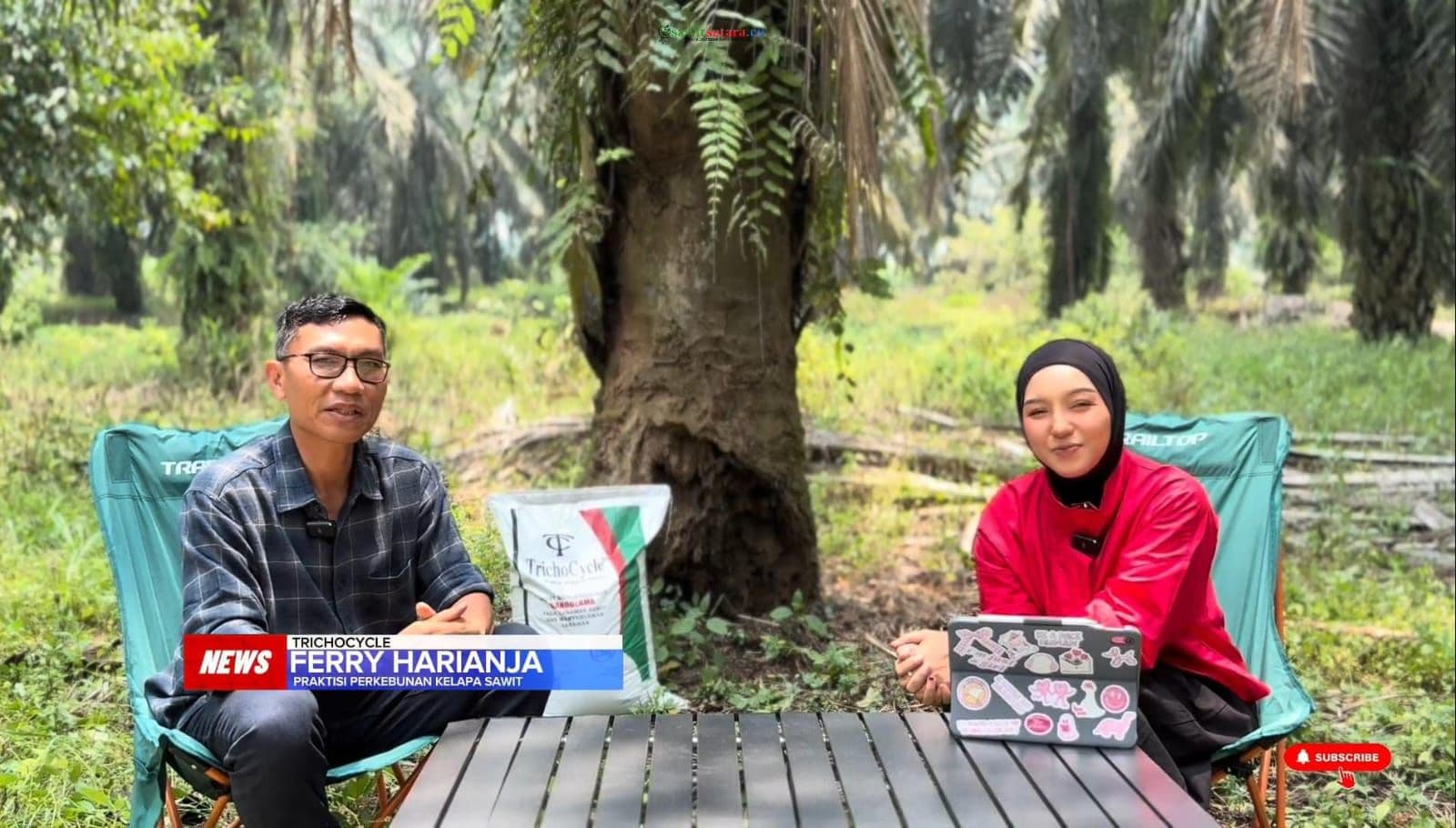 Ganoderma Jadi Ancaman Serius Produktivitas Sawit, Begini Penjelasan Praktisi