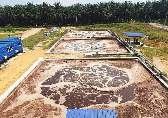 Limbah Cair Sawit Bisa Jadi Sumber Bisnis Karbon, Ini Syaratnya