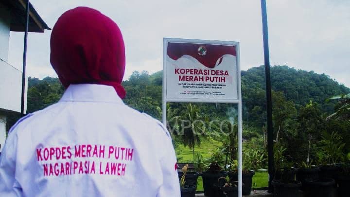 Bagaimana Jika Koperasi Desa Merah Putih Kelola Sektor Perkebunan Sawit?