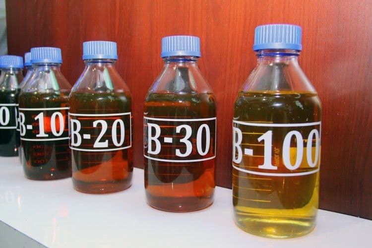 2026, Harga Biodiesel Sebesar Rp13631/Liter