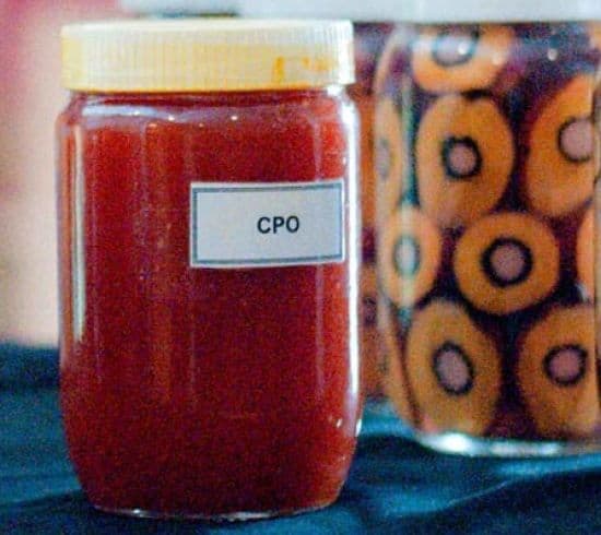 Oktober 2025, Harga  Referensi CPO Menguat