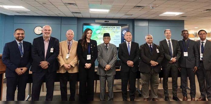 Sawit Naik Kelas di Washington, Dari Komoditas Kontroversial Jadi Bintang Transisi Hijau Global