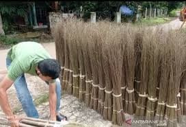 Indonesia Genjot Ekspor Lidi Sawit, Limbah Jadi Komoditas Bernilai Tinggi