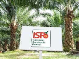 Indonesia Mantapkan Posisi sebagai Pemimpin Global Sawit Berkelanjutan Lewat ISPO Hulu-Hilir 2025