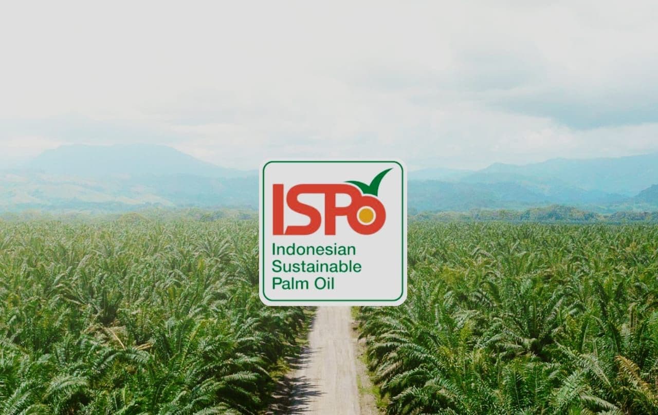 Permentan 33/2025 dan Transformasi Industri Kelapa Sawit Berkelanjutan di Indonesia