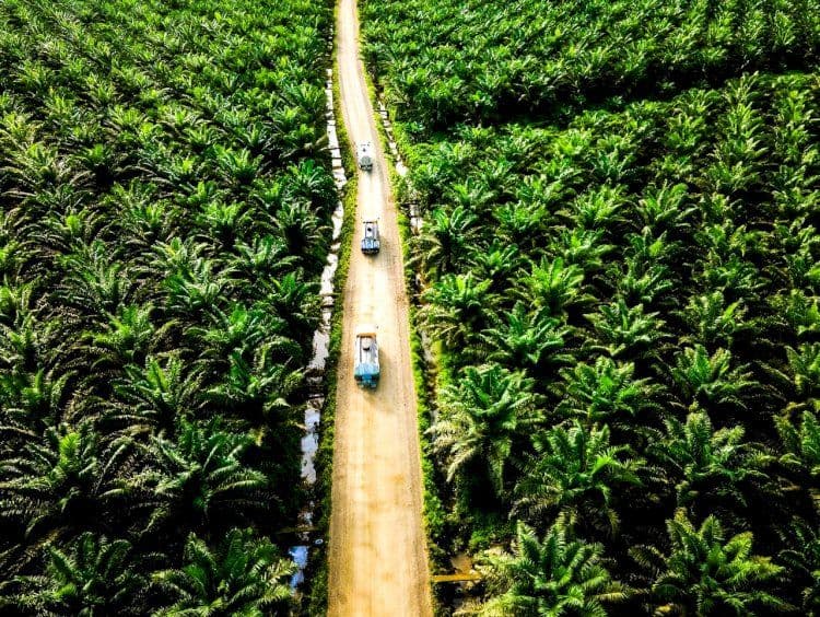 BPDP Gelar Konsultasi Publik Perubahan Tarif Pungutan Ekspor Sawit 2026