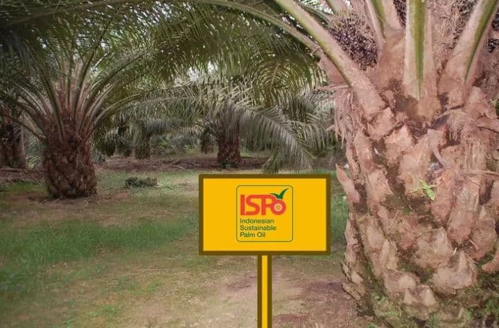 Permentan ISPO Turunan Perpres Diharapkan Segera Terbit