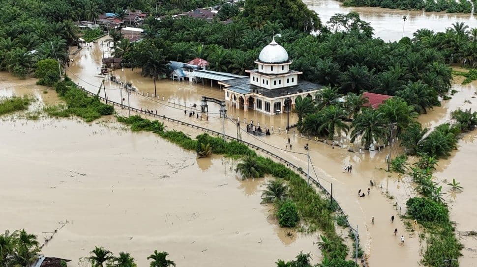 DPW APKASINDO Aceh: Banjir Bukan karena Sawit, tapi Ilegal Logging