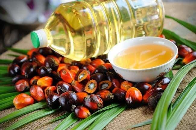 BRIN Kembangkan Alat Uji Cepat 3-MCPD dan Glycidol pada Minyak Sawit, Deteksi Hanya 1 Jam