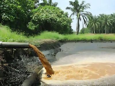 Investasi US$5 Juta, Limbah Sawit Sumut Disulap Jadi Gas Energi Bersih