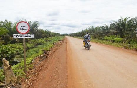 Pemerintah Siak Genjot Perbaikan Jalur Produksi Sawit, Dorong Ekonomi Desa