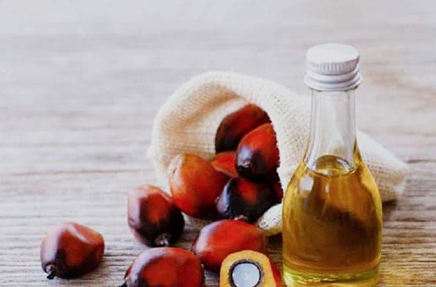 Peneliti Undip Ungkap Teknologi Baru untuk Kurangi Kadar Senyawa Berbahaya dalam Minyak Sawit