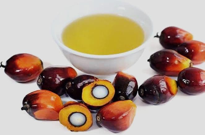 Peluang Indonesia Geluti Pasar Supplier Vitamin A dan E Lewat Kelapa Sawit