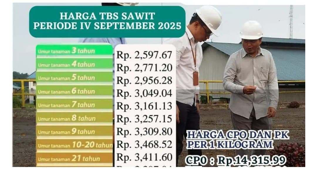 Harga TBS Kalbar Naik untuk Periode 23-30 September 2025