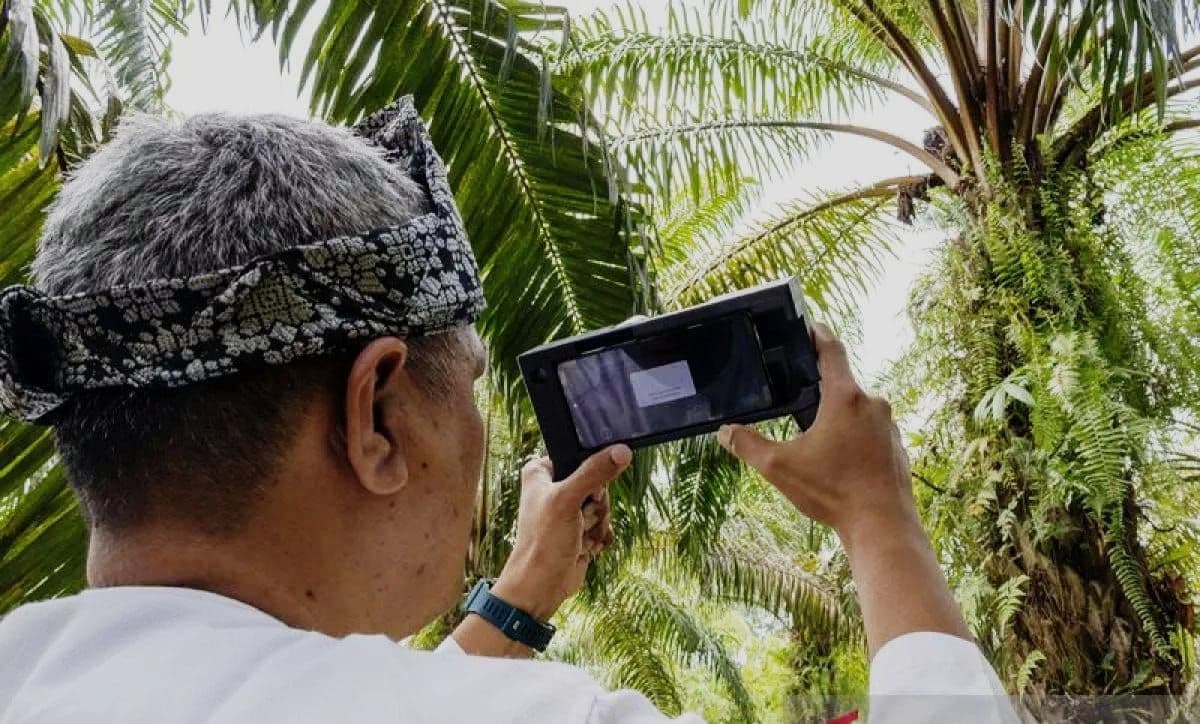 Prihatin Nestapa Petani Buntut TBS Tak Penuhi Syarat, Peneliti Ini Bikin Inovasi Alat Deteksi Kematangan Buah