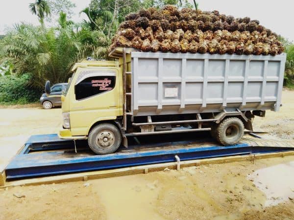 Pemkab Mukomuko Intensifkan Pengawasan Timbangan Sawit, Sidak Akan Digelar