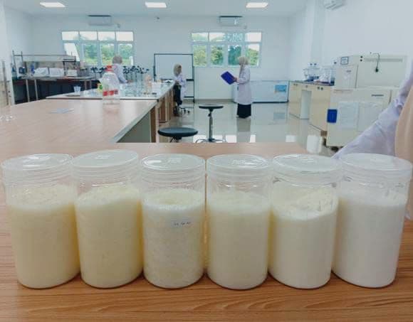 Inovasi Bigels Sawit: Mahasiswa UTU Ciptakan Alternatif Sehat Pengganti Lemak Padat dalam Produk Pangan