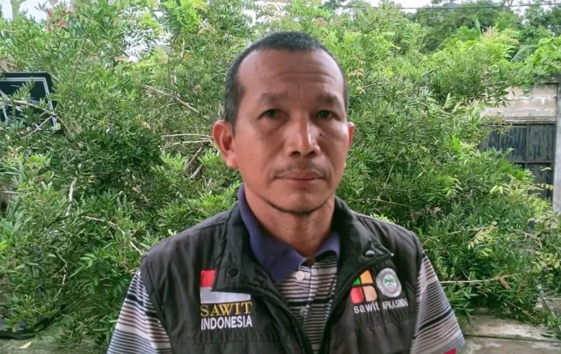 Puluhan Ribu Pekerja Sawit Bangka Belum Terlindungi BPJS Ketenagakerjaan, Apkasindo Desak Pemerintah Perluas Perlindungan Sosial