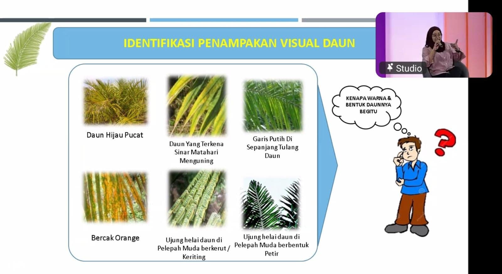 Mengapa Penting Petani Sawit Kudu Tahu Gejala Defisiensi Hara?
