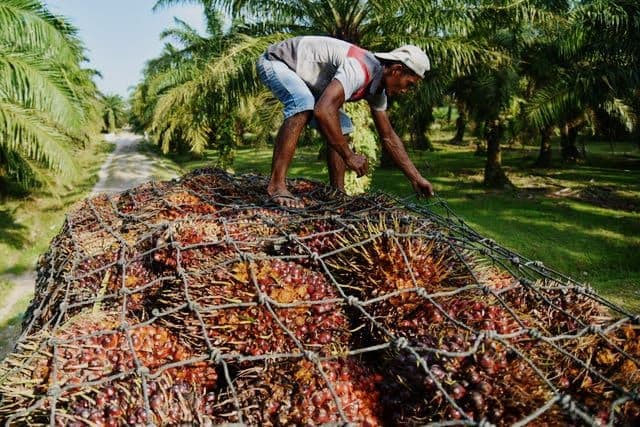 Trump Setujui Tarif 0 Persen untuk Produk dari Malaysia, Thailand, dan Kamboja: Peluang Bagi Indonesia?