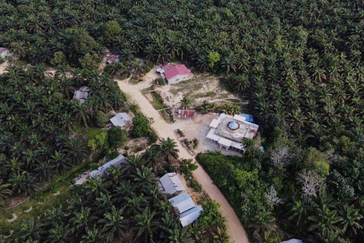 Upaya Satgas PKH Ganti Lahan Petani Sawit di TNTN Dinilai Akan Timbulkan Polemik Baru
