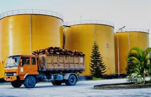 Ada Indikasi Praktik Curang Ekspor Minyak Sawit Sejumlah Eksportir, Potensi Kerugian Negara Triliunan Rupiah