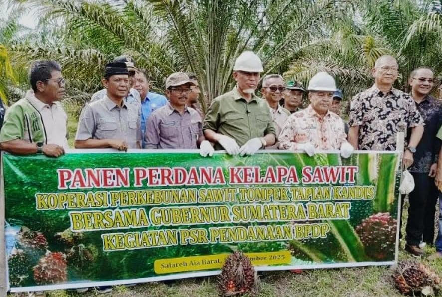 PSR Di Sumbar Sudah Mulai Menunjukkan Hasil, Masuk Masa Panen Perdana