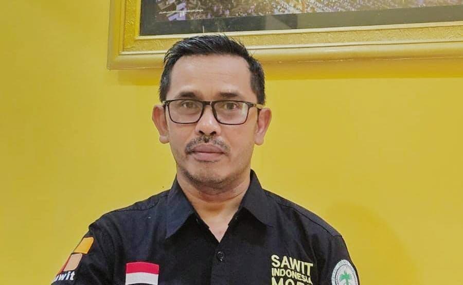 APKASINDO Minta Pemerintah Terapkan Pendekatan Manusiawi untuk Petani Sawit Terdampak Penertiban Lahan