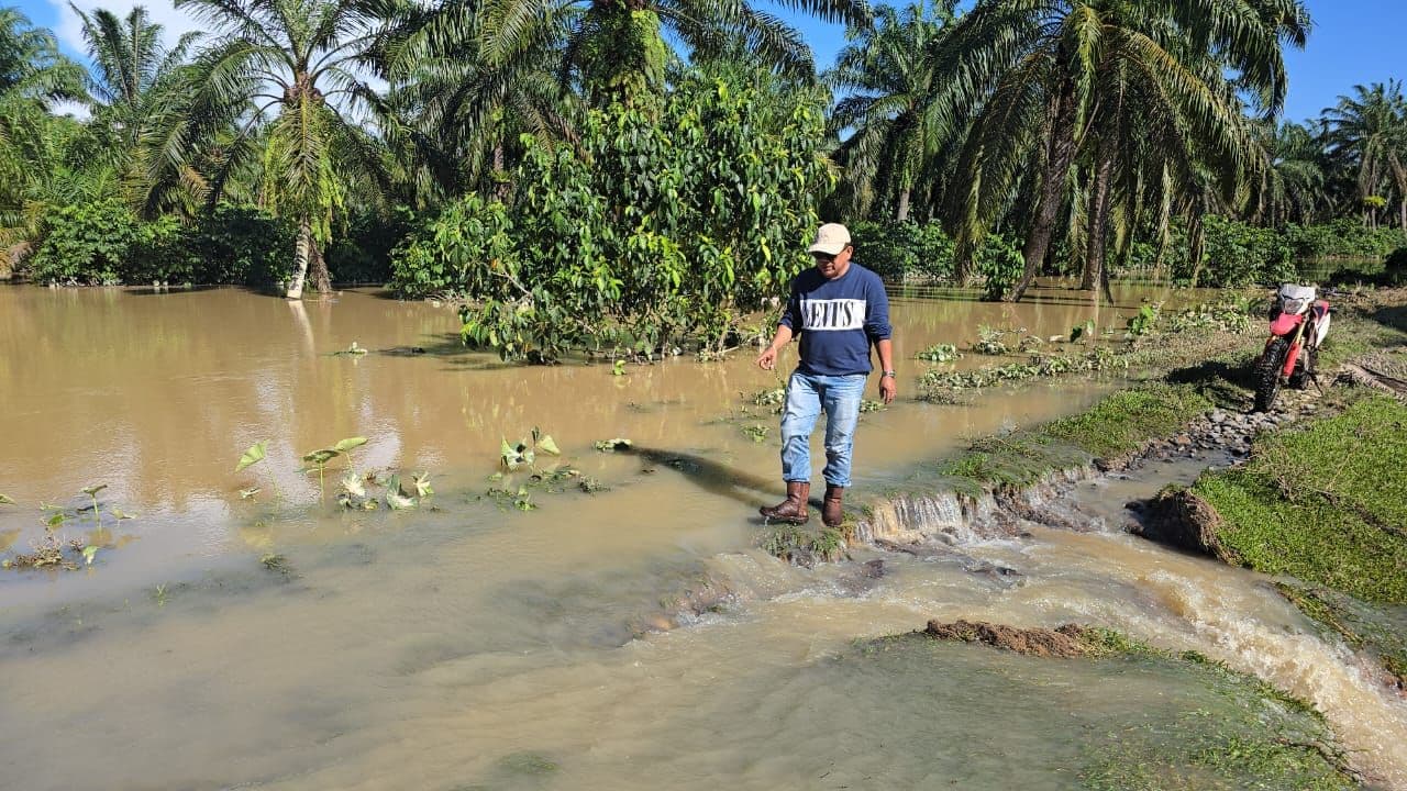 Jufri Nur: Banjir Bandang Tak Hanya Karena Cuaca Ekstrem, Tapi Juga Penebangan Liar