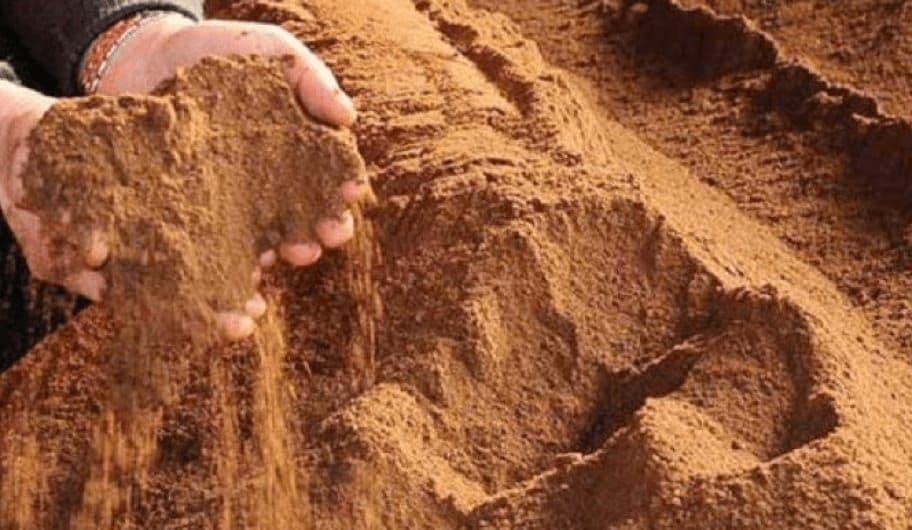 Produk Samping Sawit Jadi Alternatif di Tengah Krisis Bahan Baku Pakan Ternak Global