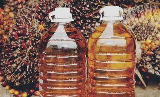 Pemulihan Ekonomi Sri Lanka Mengerek Permintaan Minyak Sawit Malaysia