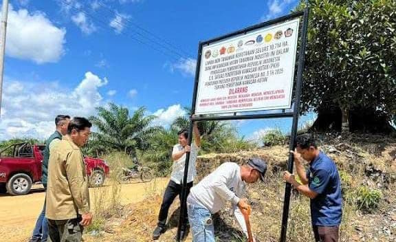 Sawit di Bawah Bayang-bayang Penertiban, DPR Soroti Kepastian Hukum
