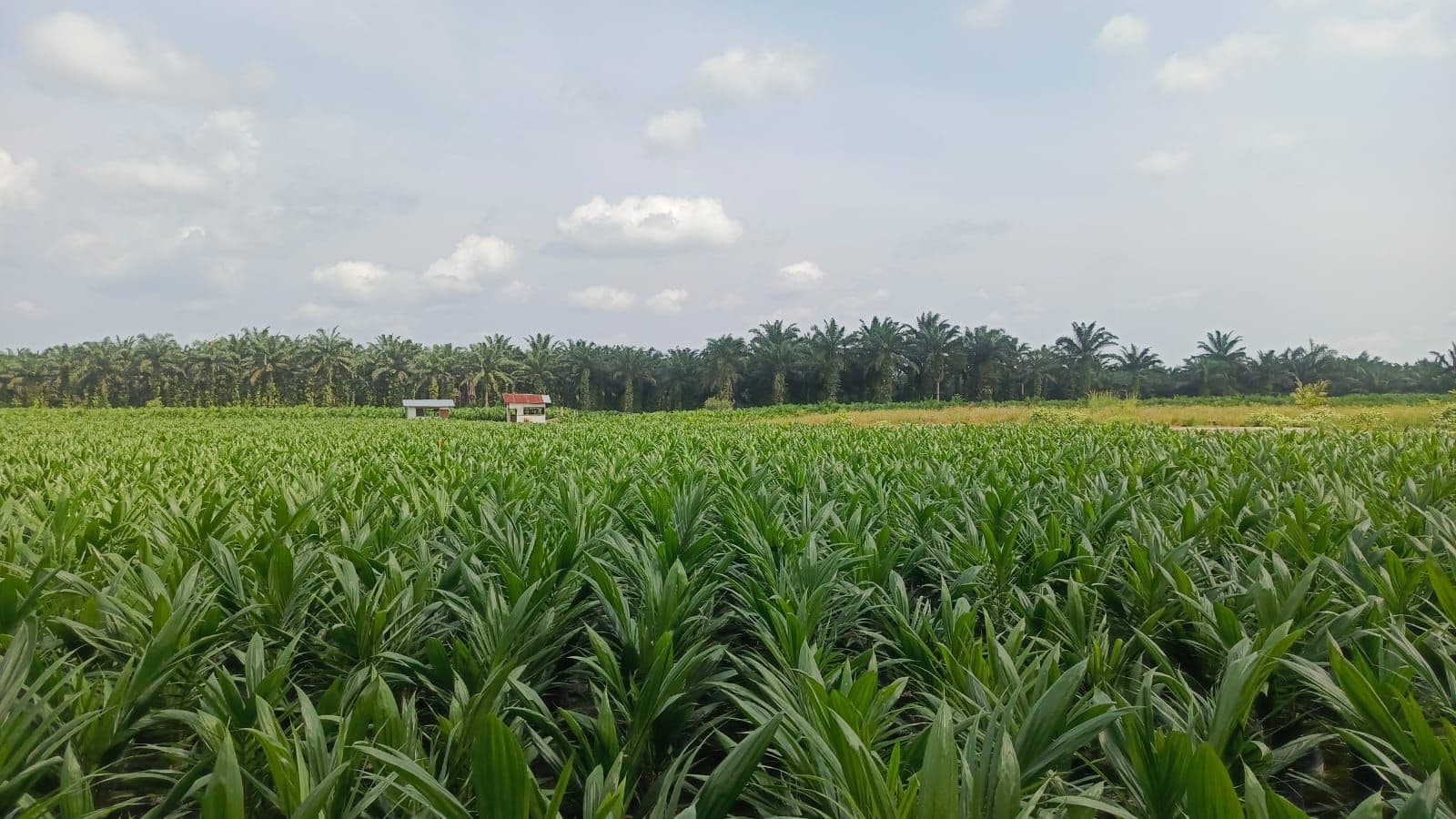 WhatsApp Image 2026-02-24 at 13.00.24.jpeg