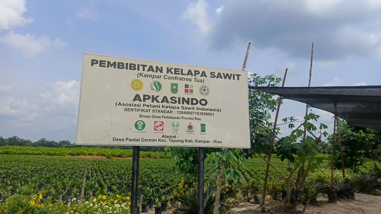 WhatsApp Image 2026-02-24 at 13.32.40.jpeg