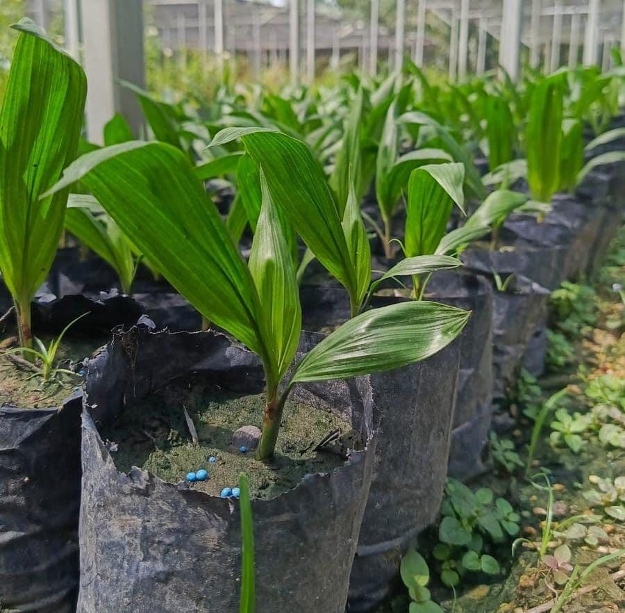 WhatsApp Image 2026-02-24 at 13.35.34.jpeg