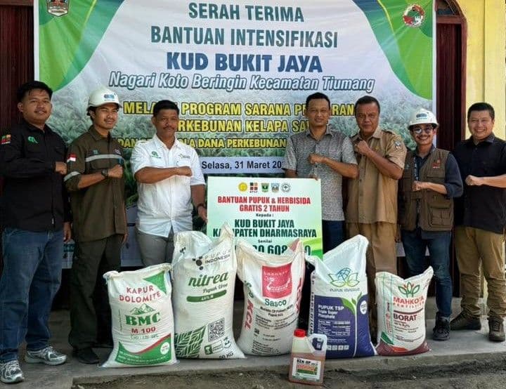 Bantuan Pupuk Sapras Rp5,6 Miliar dari BPDP Dorong Produktivitas Sawit Petani Dharmasraya