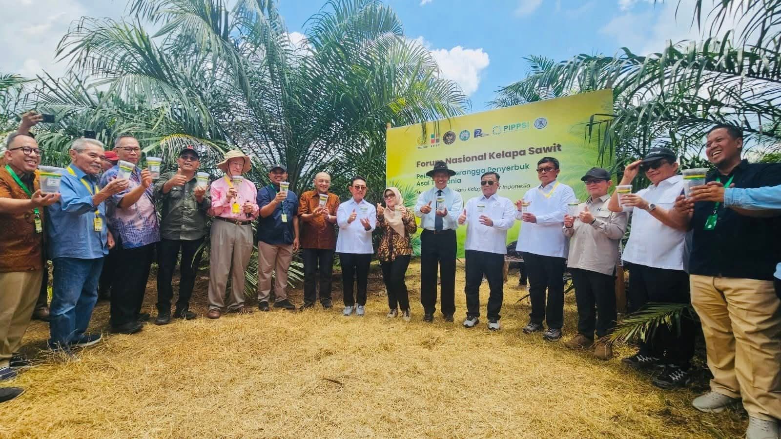 Pelepasan Serangga Penyerbuk Jadi Harapan Baru Masa Depan Sawit Indonesia
