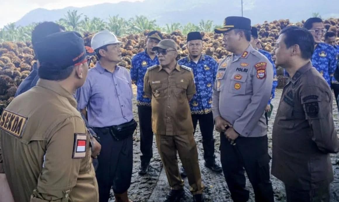 Pemkab Pasaman Barat Awasi Pabrik Sawit, Bupati Peringatkan Larangan Turunkan Harga TBS Sepihak