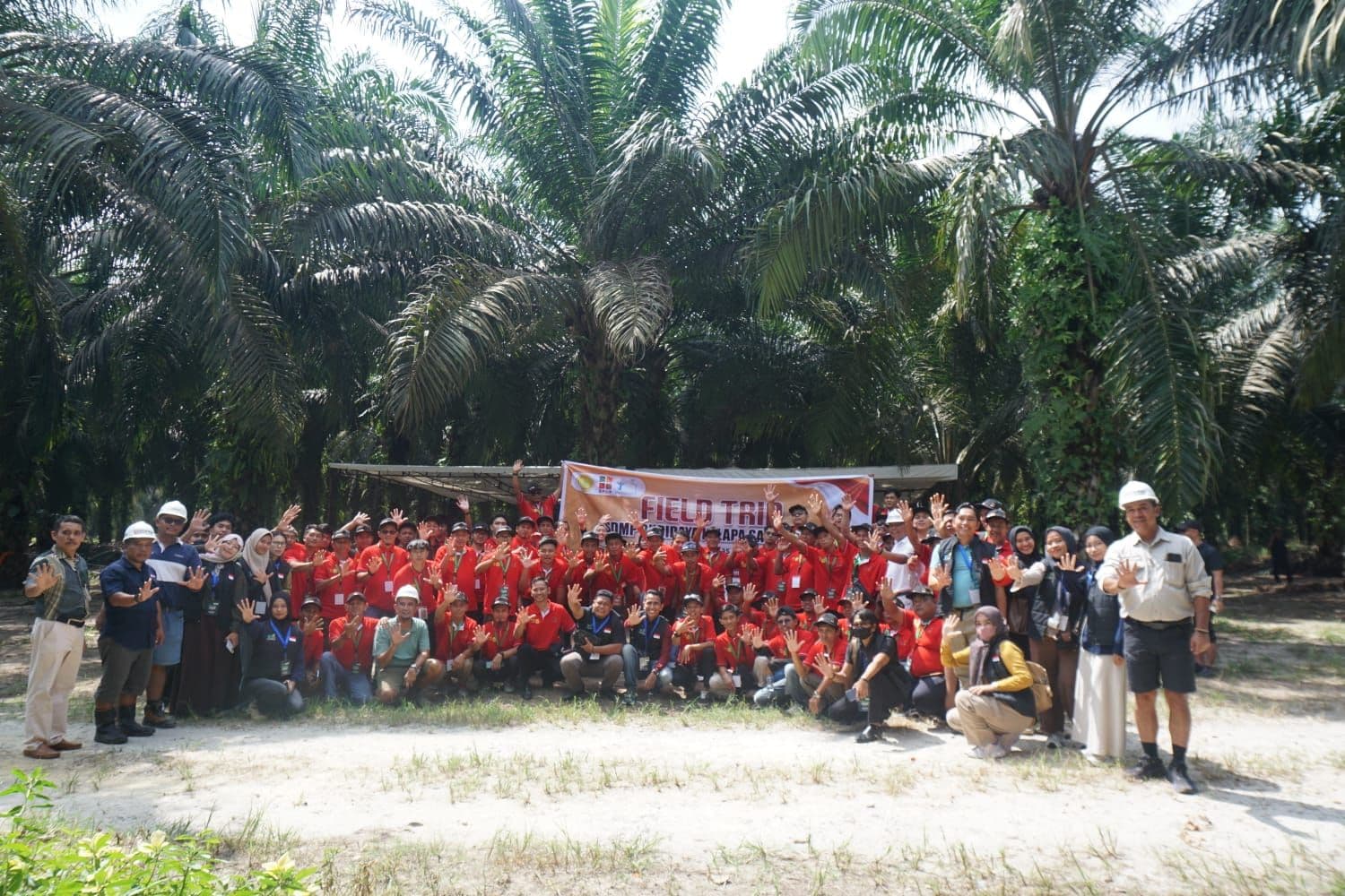 Belajar Langsung di Kebun, Petani Sawit Inhil Perkuat Pengetahuan Budidaya