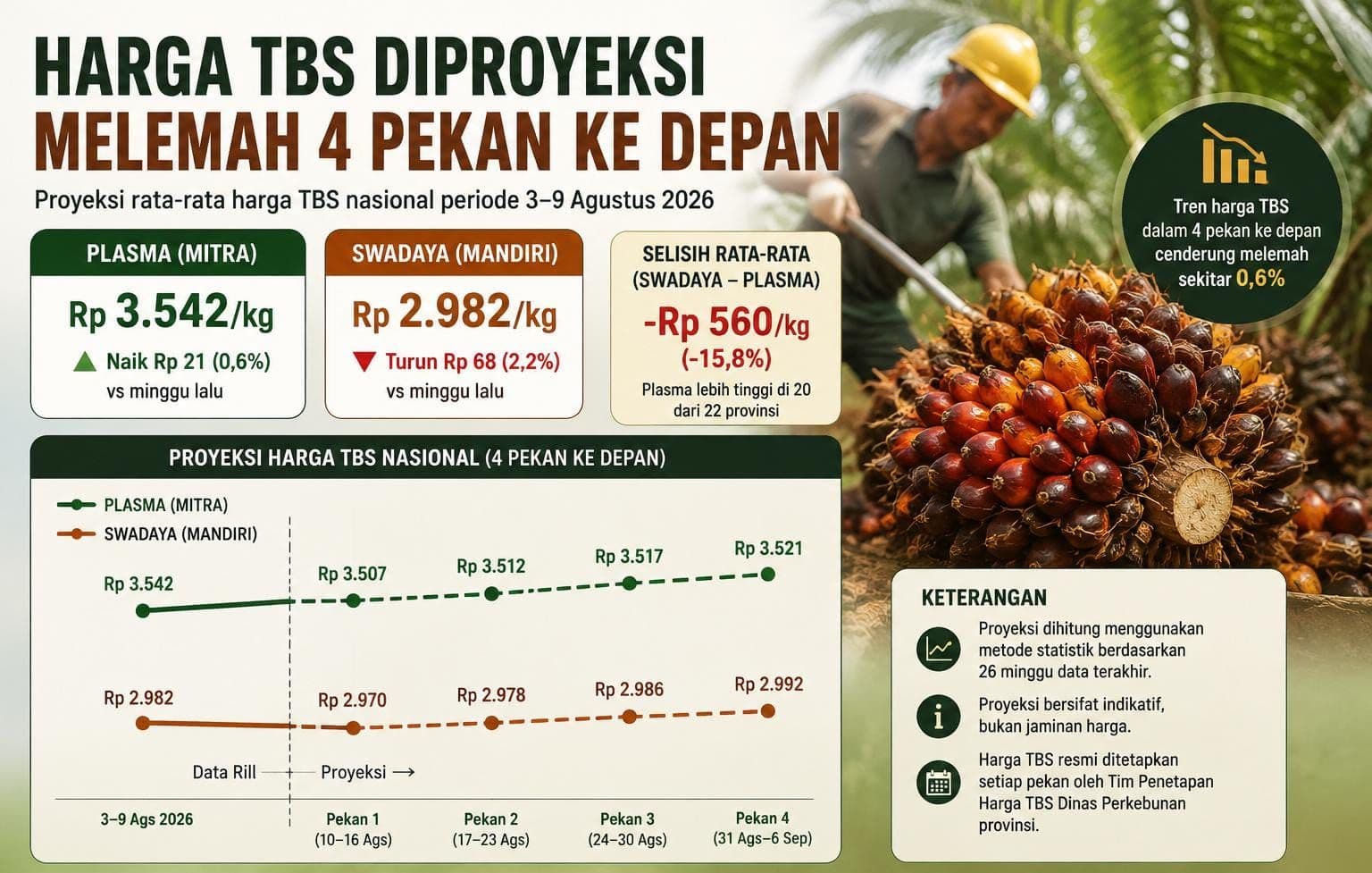 Harga TBS Diproyeksi Melemah 4 Pekan ke Depan, Plasma Turun ke Rp3.521/Kg