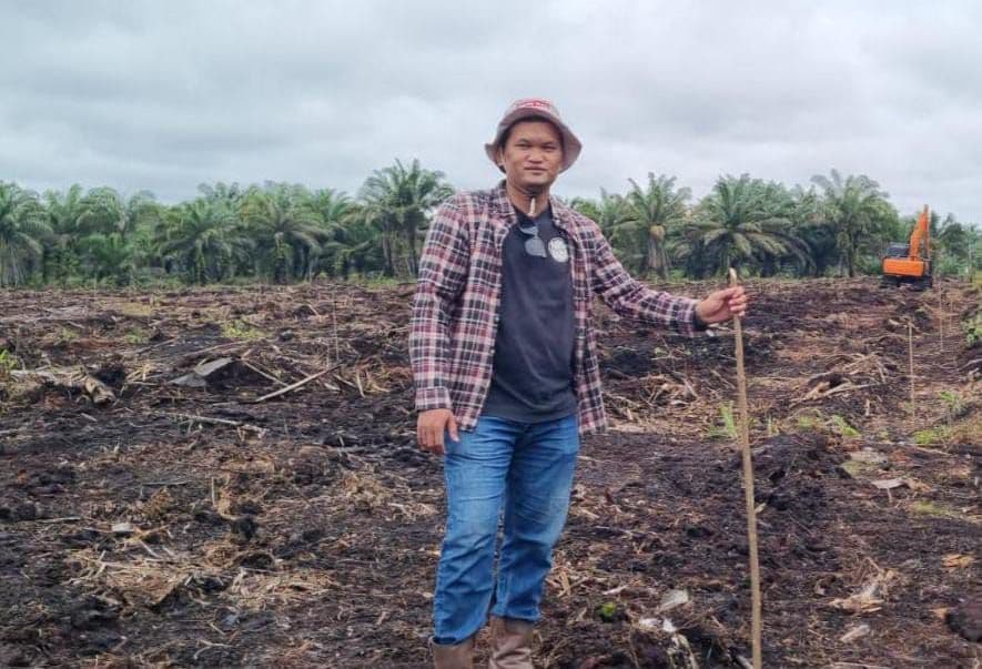 Ketahanan Pangan Rumah Tangga Petani Sawit di Masa TBM: Peluang Tumpang Sari yang Terabaikan