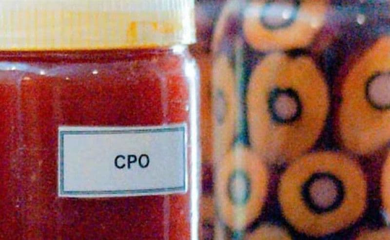 Akhir Tahun 2025, HR CPO Turun 3,9%