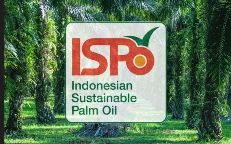 Sertifikasi ISPO Kini Wajib, Pekebun Sawit Kecil Didorong Berkelompok