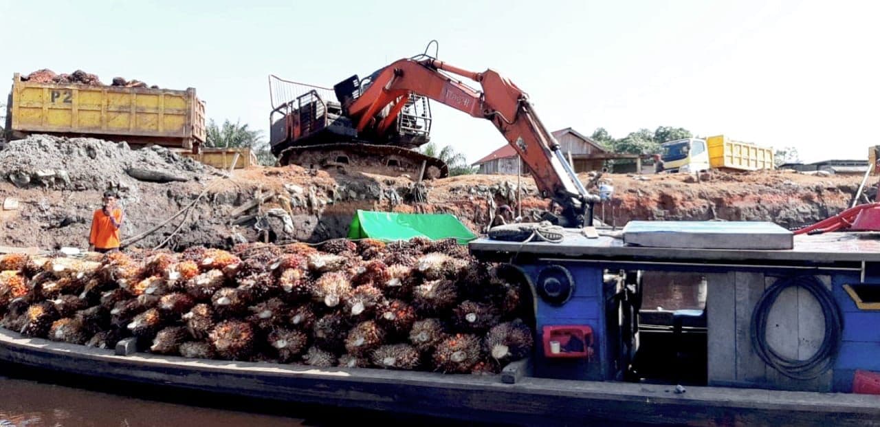 Kinerja Ekspor Pertanian Ditopang Sektor Sawit