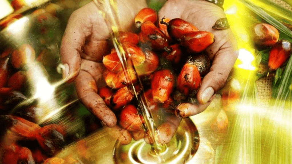 Produksi Sawit Juli 2025 Naik, Konsumsi Domestik Melemah, Ekspor Turun Tipis